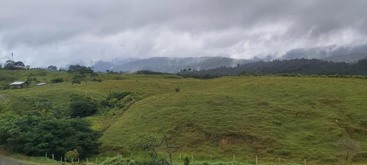 El Rincon De Las Flores Bajo Tigre Buitenkant foto