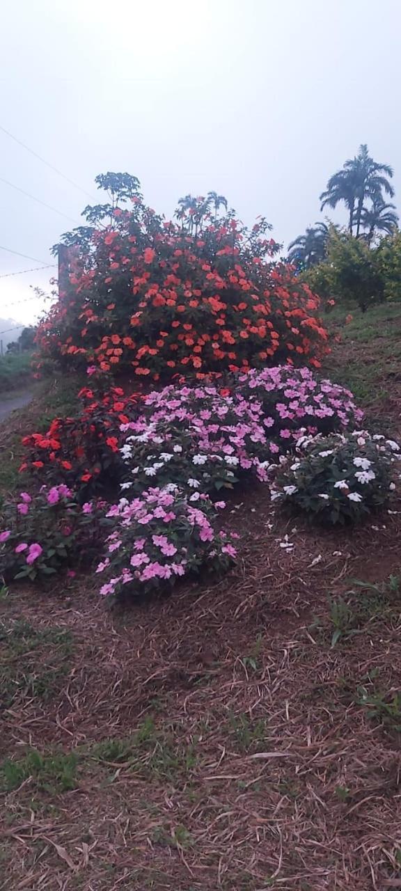 El Rincon De Las Flores Bajo Tigre Buitenkant foto