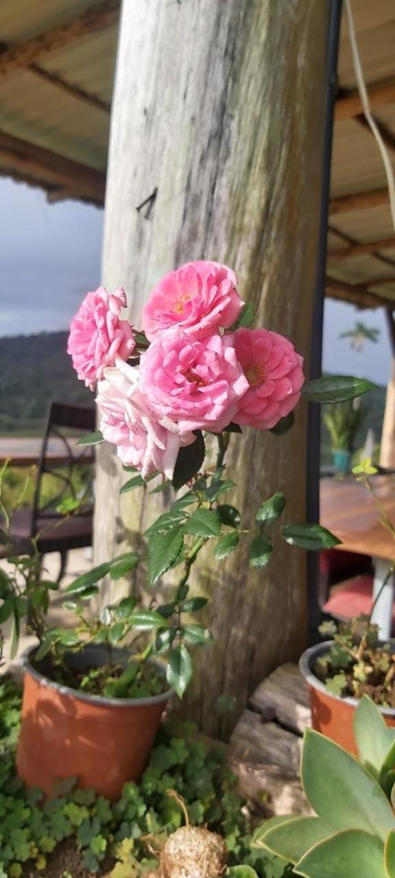 El Rincon De Las Flores Bajo Tigre Buitenkant foto